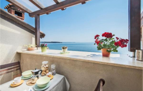 Cozy Apartment In Novigrad With Wifi